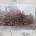 DrRPfeiffer-1899 204